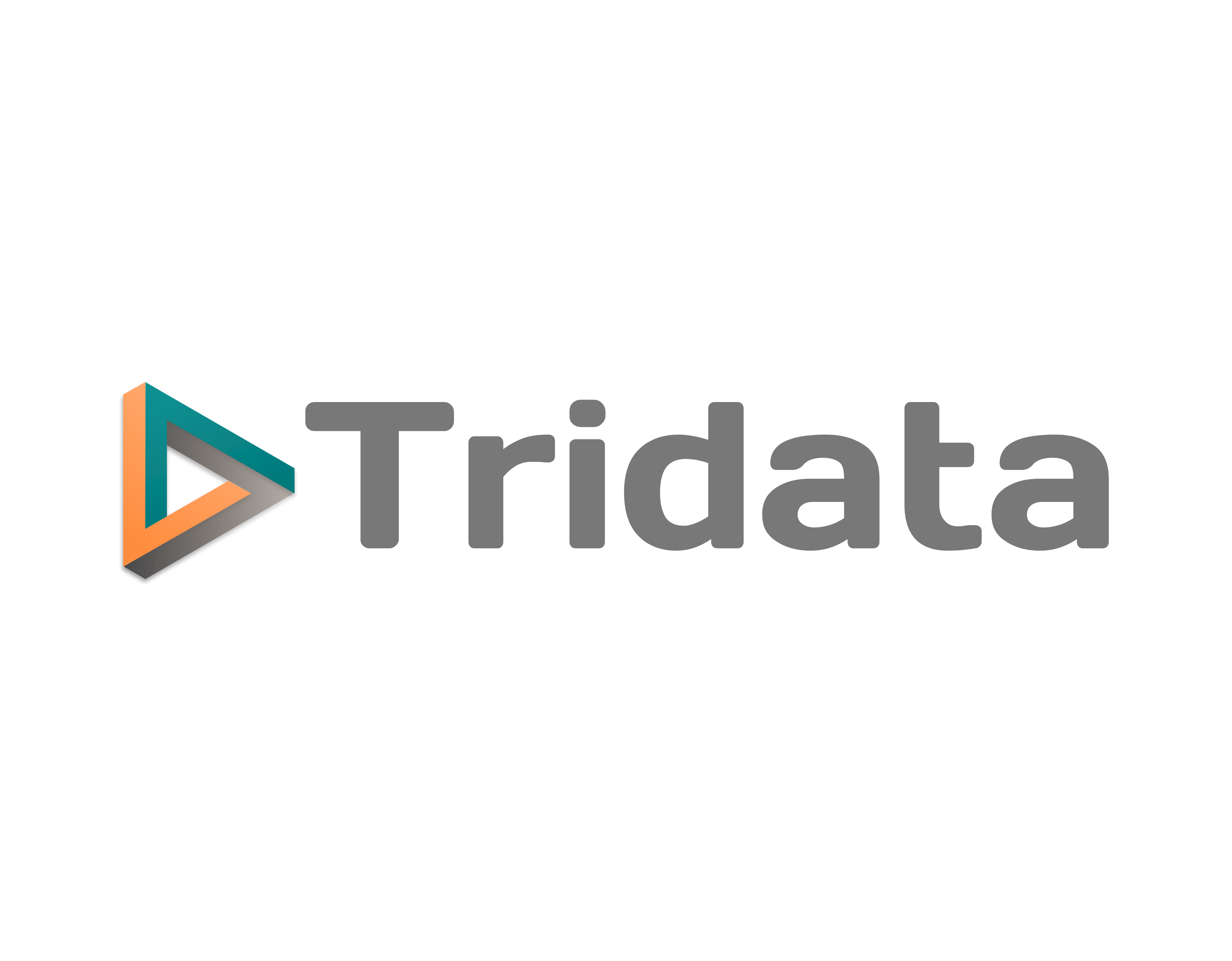 TriData US Inc